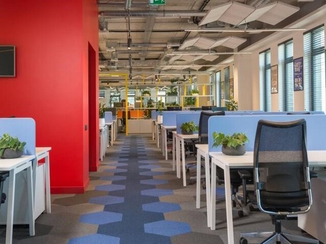 涟水轮扣生产厂商